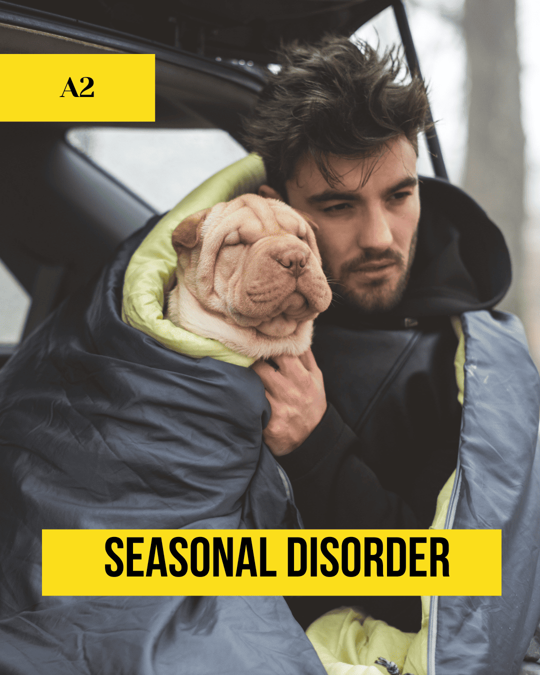 027_seasonal_disorder_cover seasonal disorder lesson